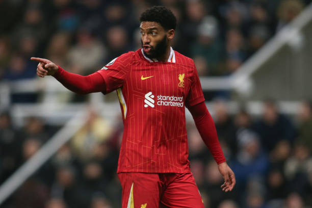 努力的结晶 努力的结晶